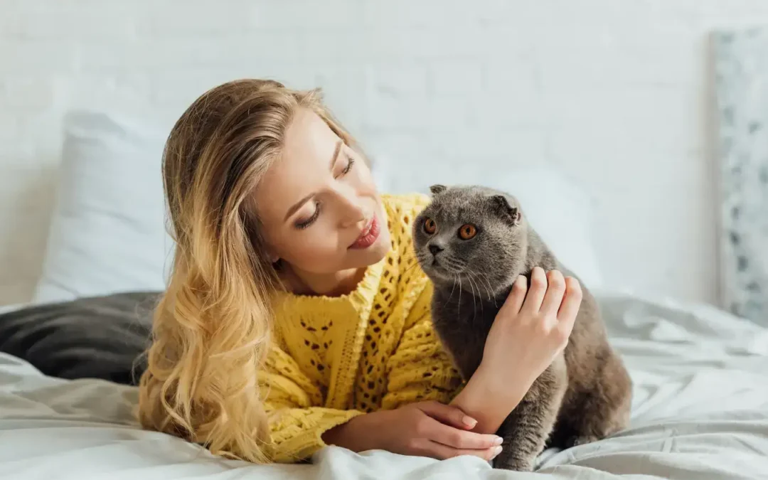 Materiali Anti-Graffio: quali Tessuti Scegliere con Gatti in Casa